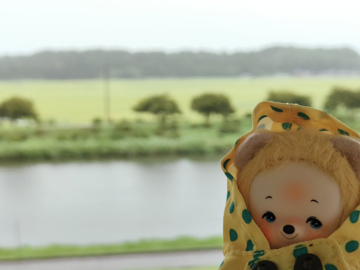 kyrmr's tweet photo. #道の駅多古あじさい館
#QLYwork https://t.co/TpalVHV5T8