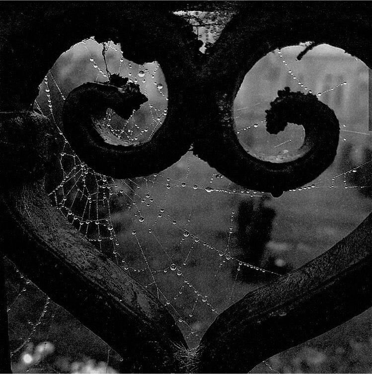 Batsnblades's tweet photo. 🕸️    . . .꒰ #shedtwt intro !! ꒱

        ⁺　.⠀Stray⠀ ⋆‧°𓏲ּ𝄢
             .✦ ݁˖  21  ˖  She/it  ⌒₊❤︎ 
                          ‧₊

                  ︵  dni 18-  .ᐟ
   ♡ / ↻ to be moots .ᐟ  

>>#slittwt #shedtwt #redlinetwt #988twt #ouchietwt https://t.co/6QUhlbHkAl