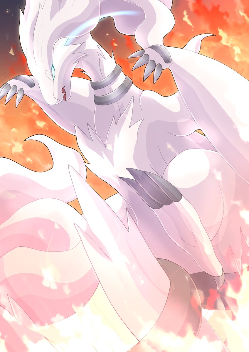_pumaki's tweet photo. Reshiram concept print https://t.co/DStTFZbXbg