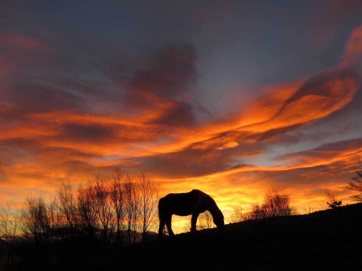 Macinnesplant's tweet photo. Beautiful red skies sunrise - Ardvasar, Isle of Skye #Scotland 🏴󠁧󠁢󠁳󠁣󠁴󠁿🏴󠁧󠁢󠁳󠁣󠁴󠁿 @ThePhotoHour @StormHour @BBCHighlands @SkyNewsWeather https://t.co/HO6WGjjzeR