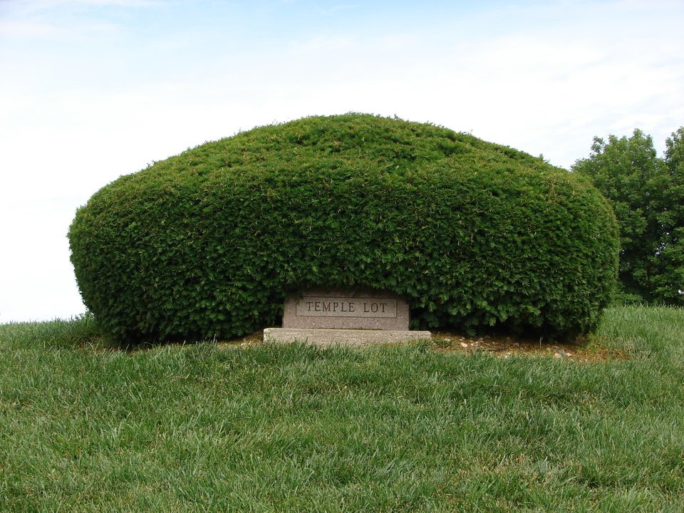 Strutter_Tom's tweet photo. Some of Joseph Smith's failed prophecies:

- A temple built in his generation in Eden (Kansas City)
- Imminent annihilation of Washington, DC
- Blessings for literally selling his own sacred text
- The return of Jesus Christ by 1891

Christians aren't the hopeless ones https://t.co/3ggKdFQ5pd