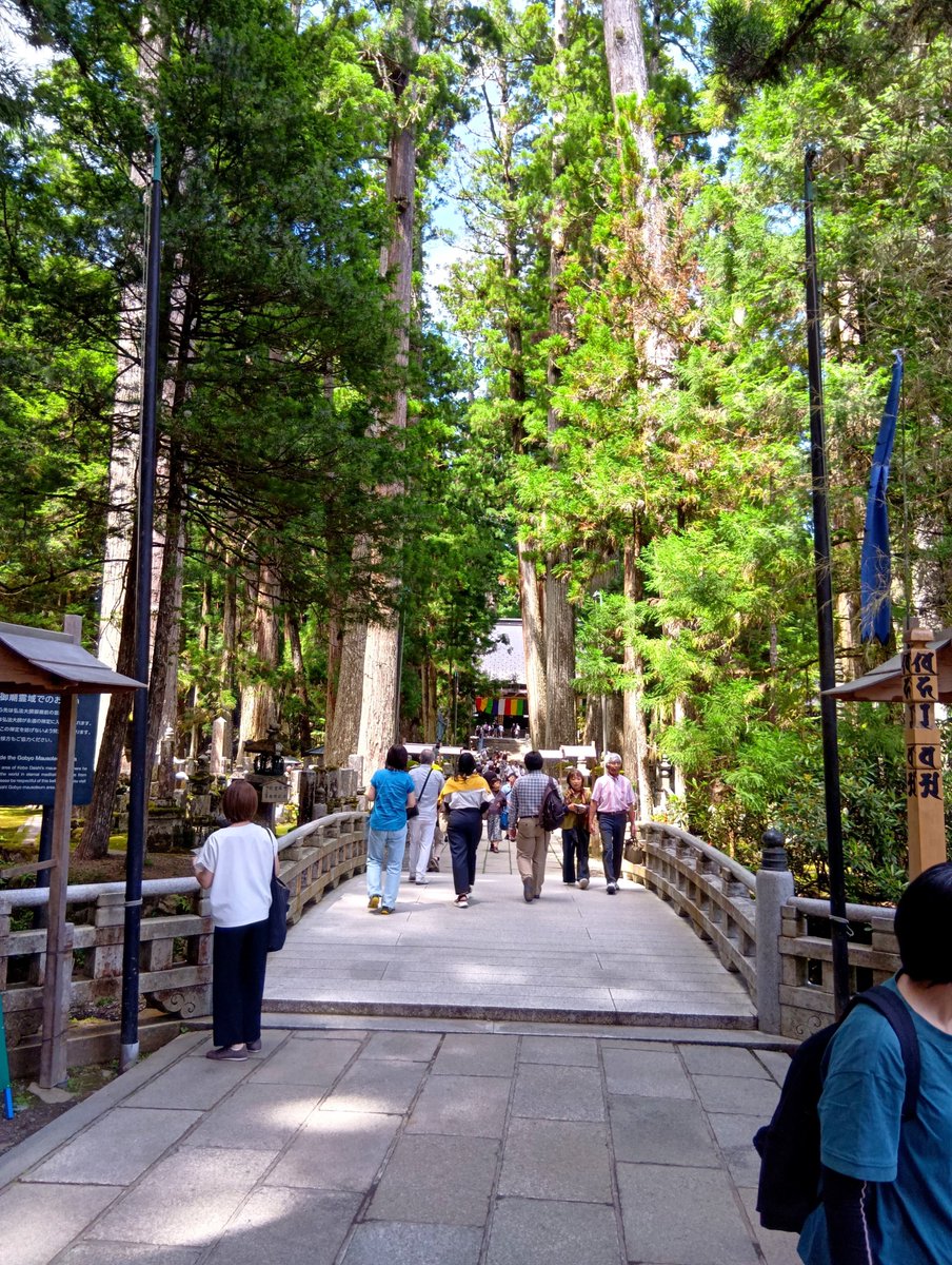 koyasan_taxi's tweet photo. 奥之院　御廟橋前⛅
１３時頃📷
沢山の御参りです
今日の高野山最高気温２５℃
奥之院参道杉木立の下は秋めいていましたよ…今日はですが😉
【南無大師遍照金剛】 https://t.co/FROUdwtRcV