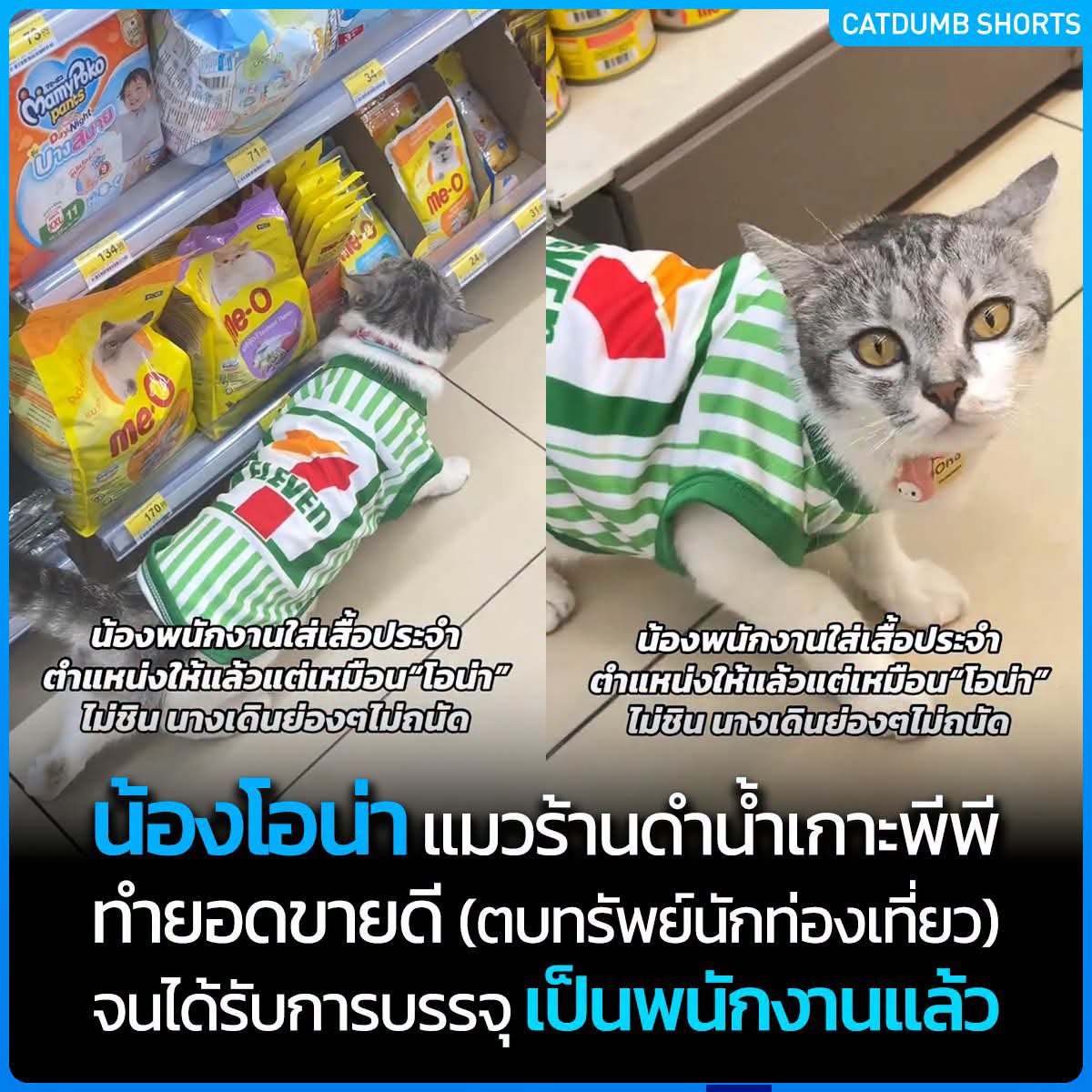 RungtiwaAo's tweet photo. เริ่ด!!! ได้อีก ล่าสุดบรรจุเป็นพนักงานแล้ว 😳 https://t.co/e9SVSBfqCR