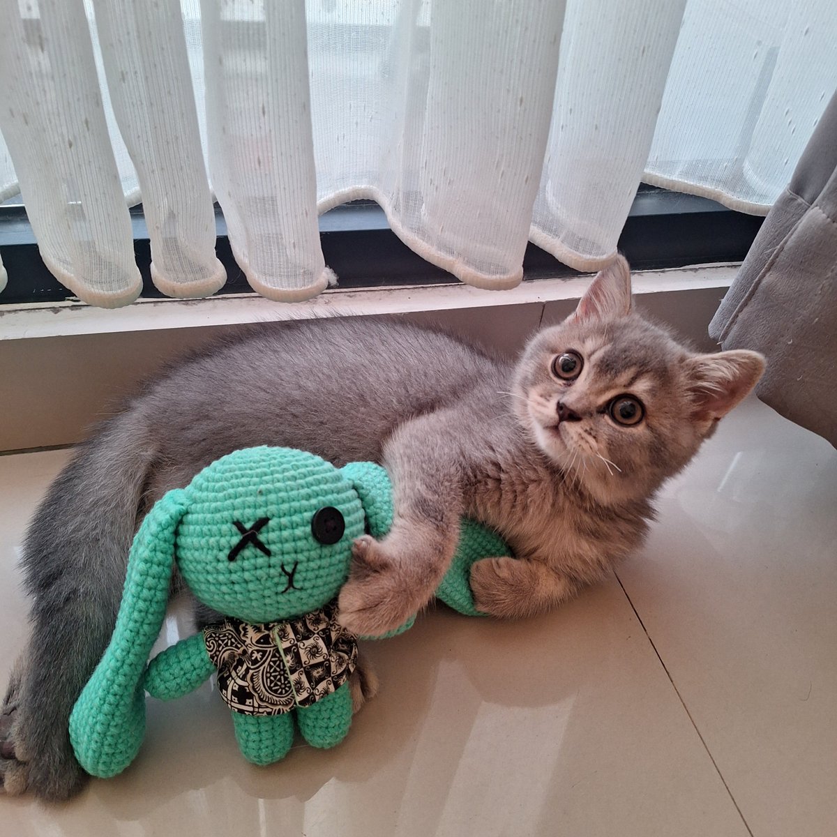 serotoneed's tweet photo. haum loves kkido ૮꒰ ˶• ༝ •˶꒱ა ♡ https://t.co/a8RnAIq4eq