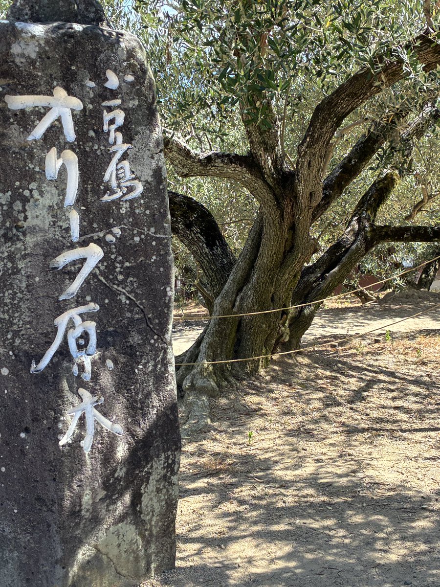 yama195's tweet photo. オリーブ園に行って来ました。オリーブの樹々の合間から見る海と空と雲。発祥の地の碑等々色々見る所豊富でした。
魔女の宅急便のモデルの水車もありました。 https://t.co/dJ9Sacc7Ge