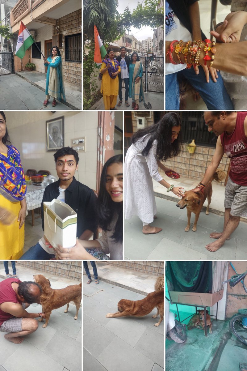 miteshtiwari's tweet photo. #NationalIndiedogday #भारतीयश्वानदिवस https://t.co/YoSZ9HHqap
