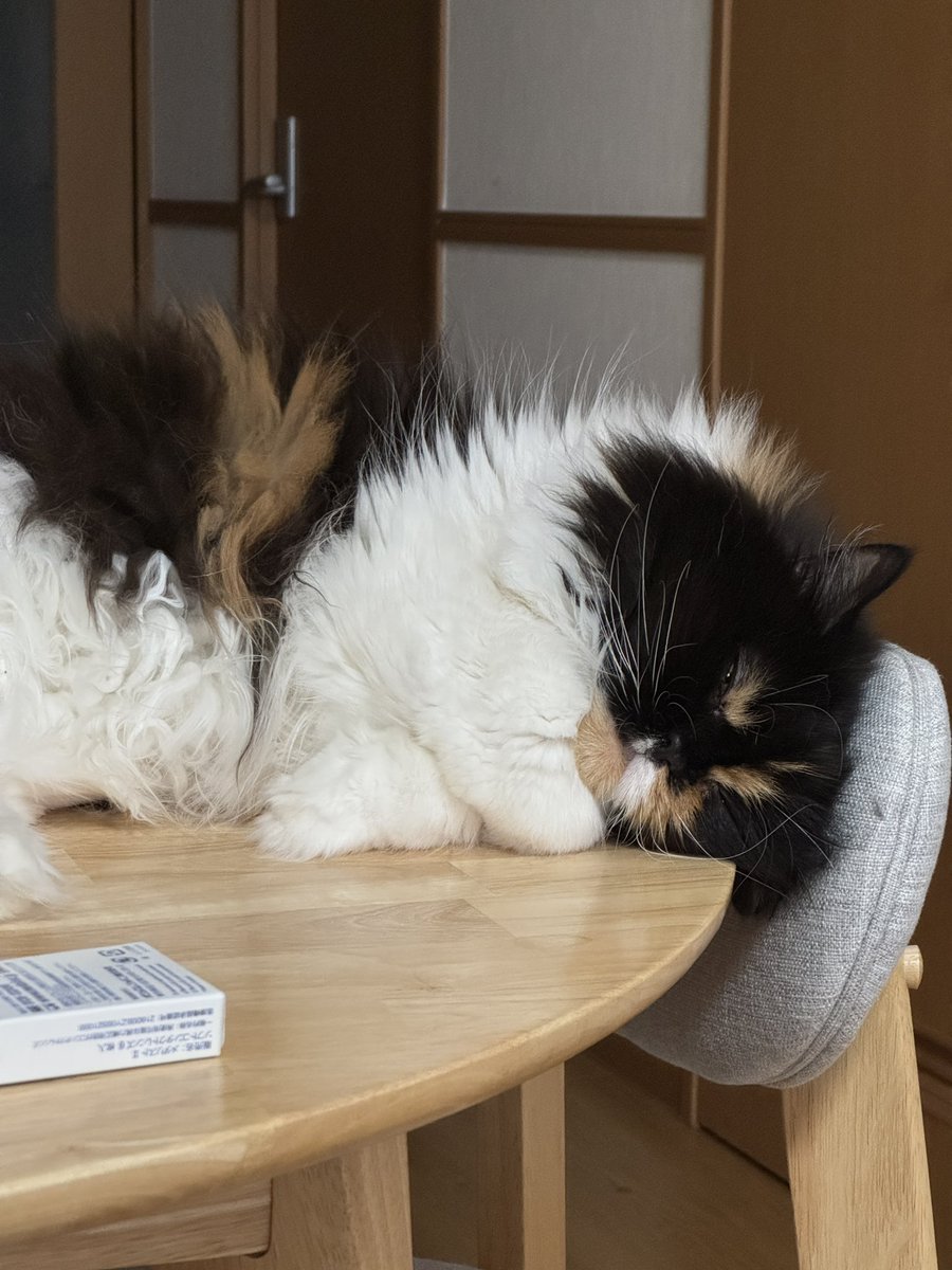 arqmqro's tweet photo. あいーん https://t.co/VSPqOk7Fb7