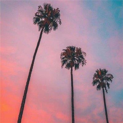 Heatherpufp's tweet photo. Made a giant batch of mango sticky rice. Tastes like vacation in a bowl.    🪐 🎁 🪐 https://t.co/V04u7nxWNd