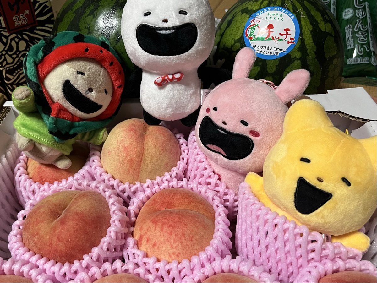 nyanu_17's tweet photo. 秋田のなまはげ🍶
秋田の🍉
秋田のじゅんさい🌿
秋田の🍑

ゆうじのふるさとの物に囲まれてこの子たち喜んでる(๑ ́ᄇ`๑)

#にしむらゆうじ https://t.co/0p1ElRZ8TK