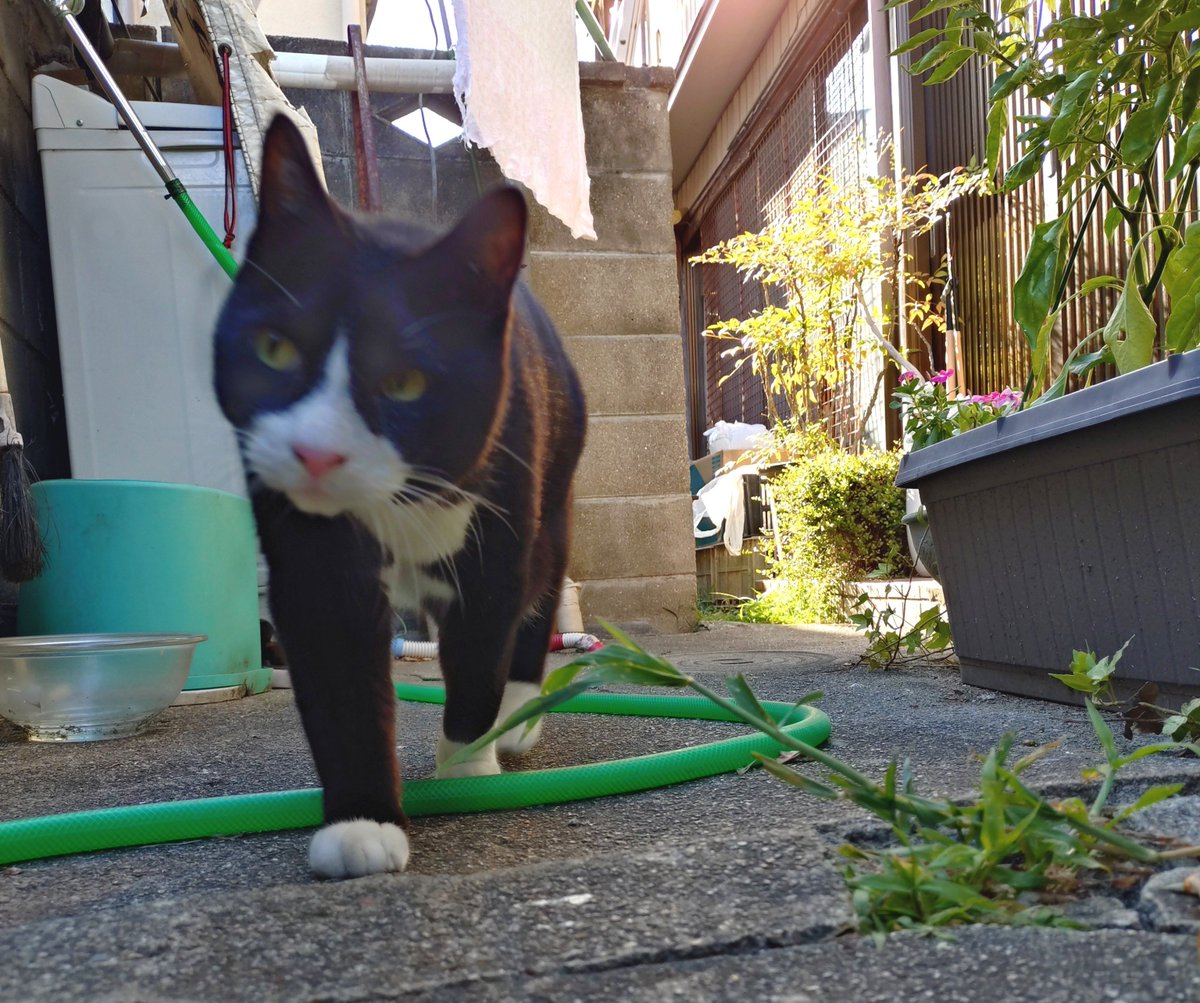 osucinema's tweet photo. 夕方の見廻り…

ん？風が強いな… https://t.co/0KdmAQMoW0