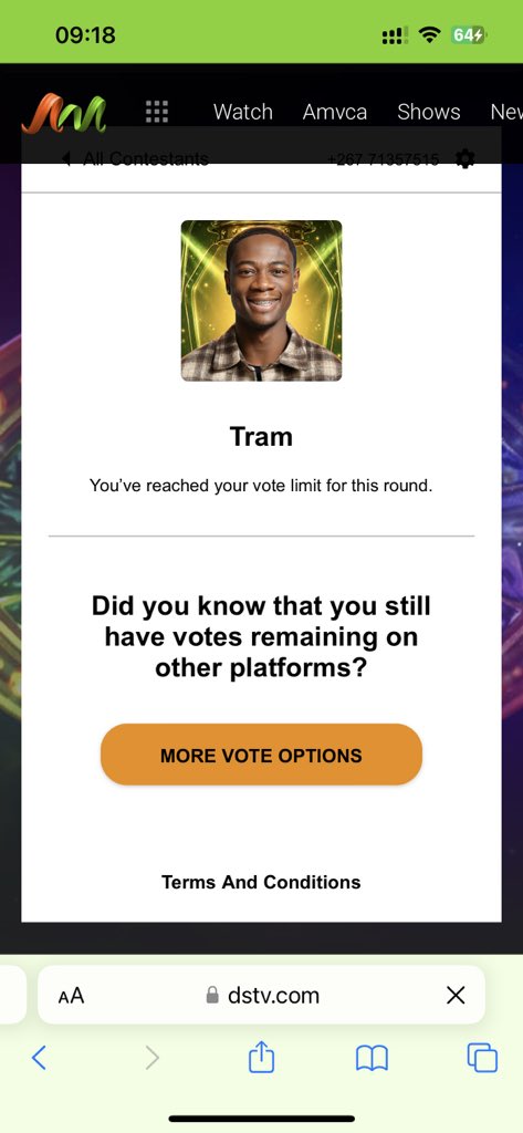Because_Khosi's tweet photo. Tramnation let’s goooo 

VOTE FOR TRAM
#Tram #BBNaija https://t.co/maPiZOfJeT