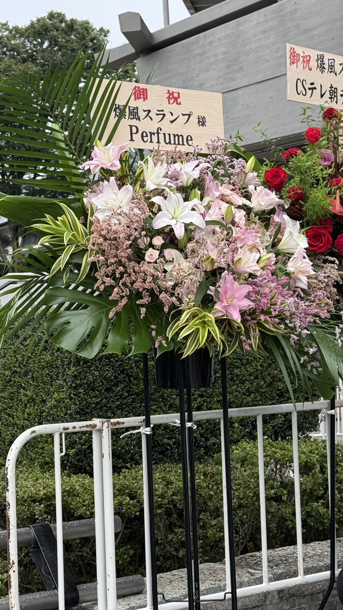Solare_prfm's tweet photo. 🥹🥹🥹フラワースタンド❗️
#爆風スランプ
#武道館

#prfm https://t.co/9qqoKmdaES