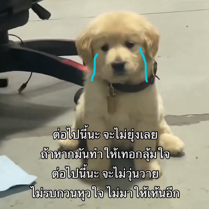 caofleurr's tweet photo. จำไว้ https://t.co/gIAtheWieW