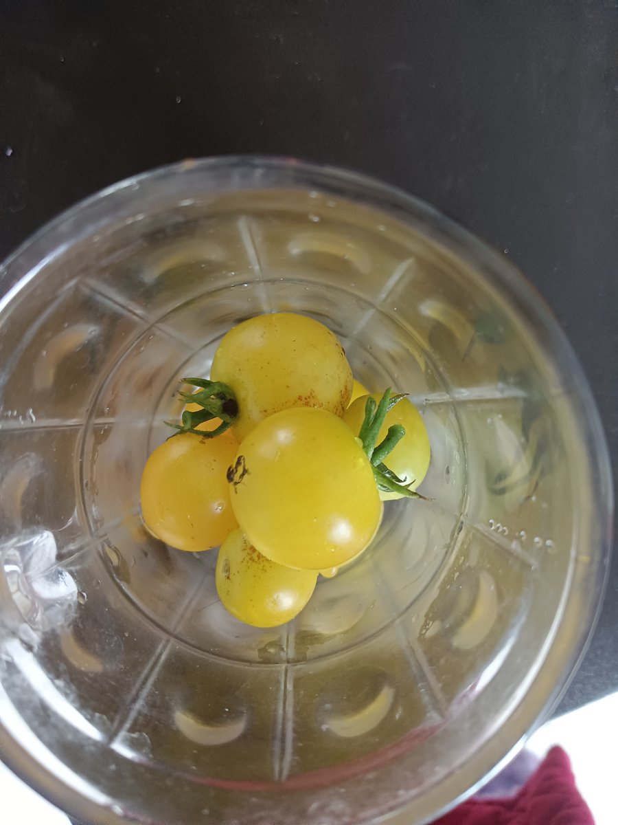 SoundsLikeDeath's tweet photo. Just tried the new organic cherry tomatoes from the local farm—burst with sweet juice, no sour aftertaste at all! Perfect for summer salads or snacking straight. https://t.co/uzyXTuZ4x3