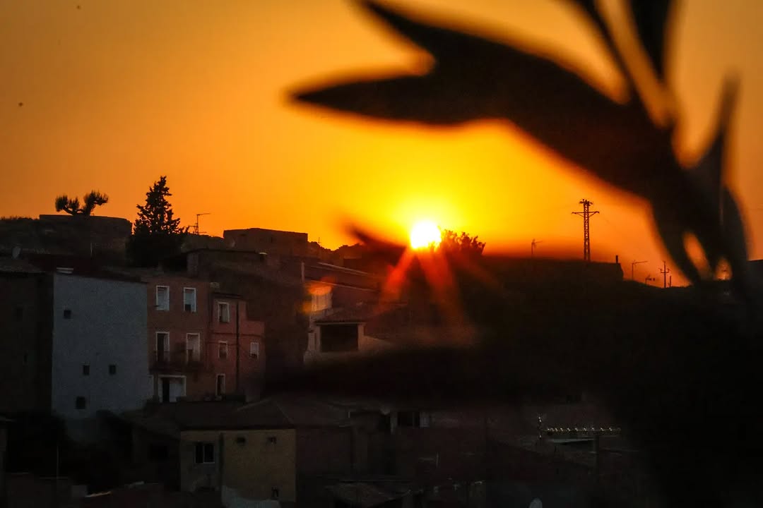segriaturisme's tweet photo. Cada dia, una cita puntual.
📸 @mmballes #Segrià #TerradePonent
#SegriaTurisme #TerresdeLleida #Lleida #Turisme #AraLleida #ADNLleida #BiosphereDestination #postadesol #posta #sunset
@ccsegria @aralleida @catexperience https://t.co/0yxWMhGVzc