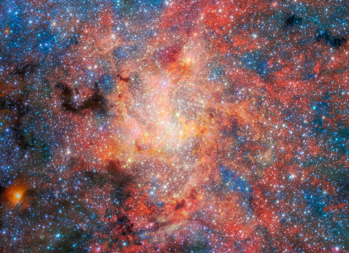 ESA_Webb's tweet photo. 🆕 Dust and water have been found near Sagittarius A* 🕳️ the supermassive black hole at the centre of the Milky Way!

Webb focused on the bright, dusty star IRS 3, which is located just 0.55 light-years from Sagittarius A*. This identified IRS 3 as an oxygen-rich evolved star shedding material into space as it nears its death. 1/3