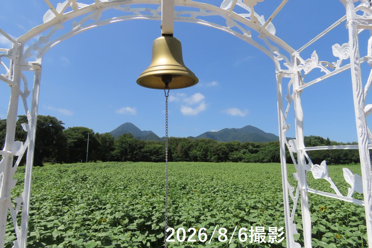 Makinobayashi's tweet photo. 矢巾町の煙山ひまわりパーク
5日前は蕾だったひまわり
今日一気に咲きそろっていました
台風15号で倒れる前に行ってきました
 #煙山ひまわりパーク https://t.co/Wmq3FWPnCh