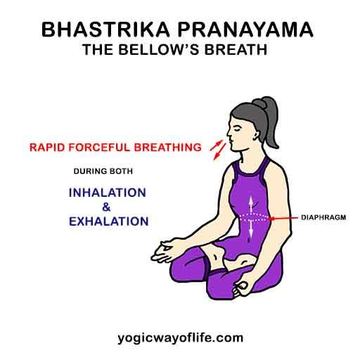 chetanm32893495's tweet photo. Bhastrika (Bellows Breath)

Best for: Boosting energy levels, increasing lung capacity, and oxygenating the blood.

Inhale forcefully through the nose, expanding the chest fully, Exhale forcefully through the nose.

#Yoga #Health #Vedic #Healthtips #Yogalife https://t.co/BBALFheznj