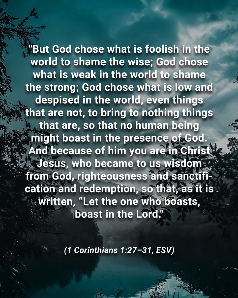 NicoRossiter's tweet photo. 1 Corinthians 1:27-31 https://t.co/WV46u2XSeU