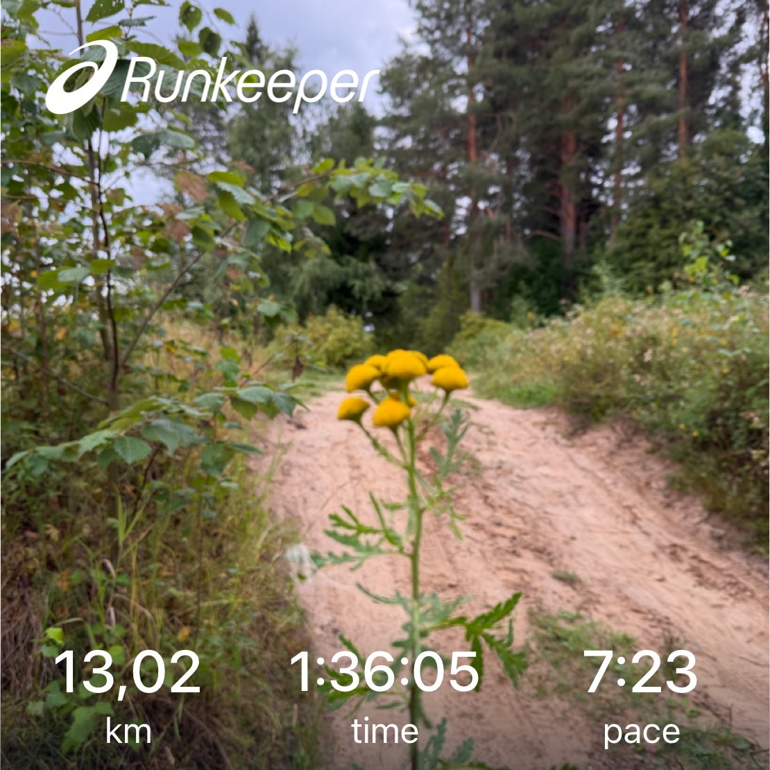 AnglyRun's tweet photo. Recovery run.
Race week begins โ a local half marathon as a check on fitness.
๐
#Running #RecoveryRun #EasyRun #HalfMarathon #NYCMarathon #RunningLife https://t.co/TgexOCm0p0