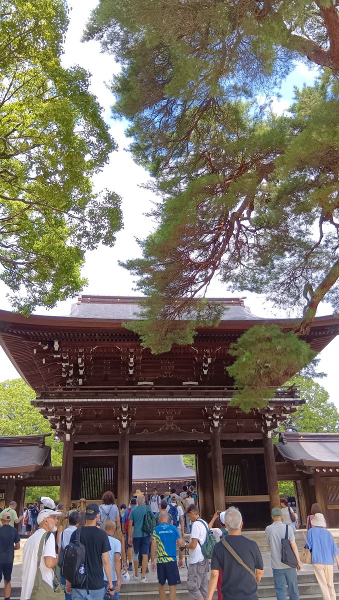 renahappymusic's tweet photo. 明治神宮にて参拝してきました🎵

#神社巡り　#パワースポット https://t.co/lZFZlf5VHq