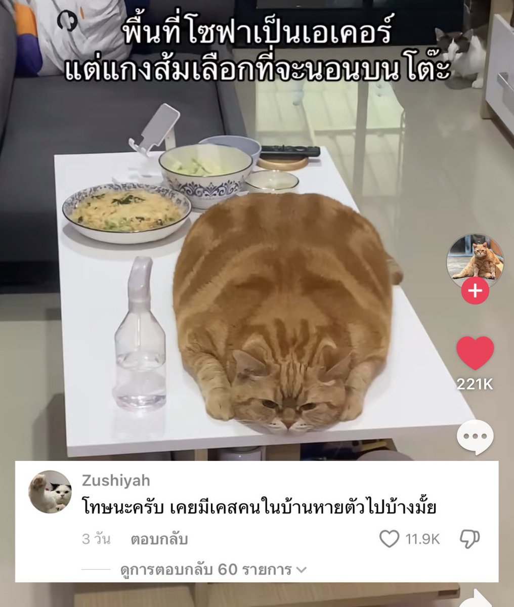 lastmooninoct's tweet photo. กุไม่ไหวกับคอมเม้น555555555555 https://t.co/CmzY7H4qKT