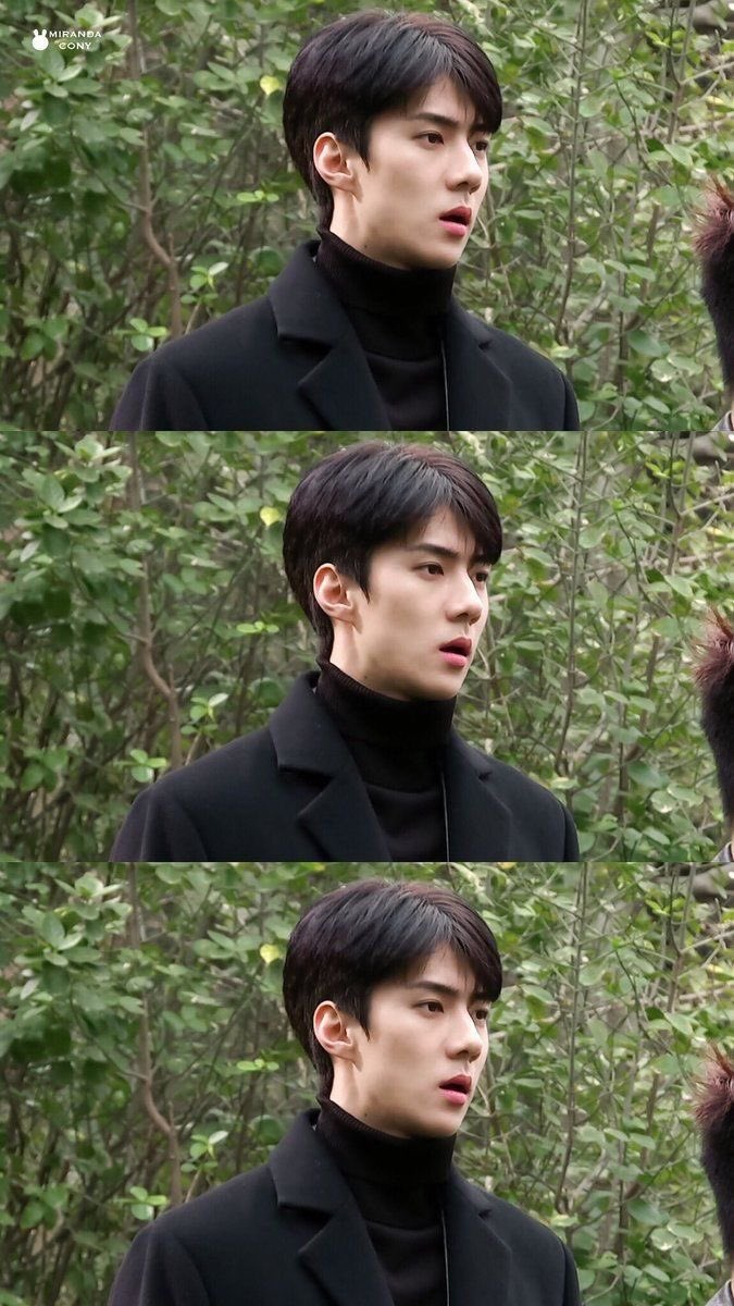 eggssotiss's tweet photo. aku nobatkan oh sehun sebagai pria tertampan dalam sejarah alam semesta https://t.co/1w7gzghn39