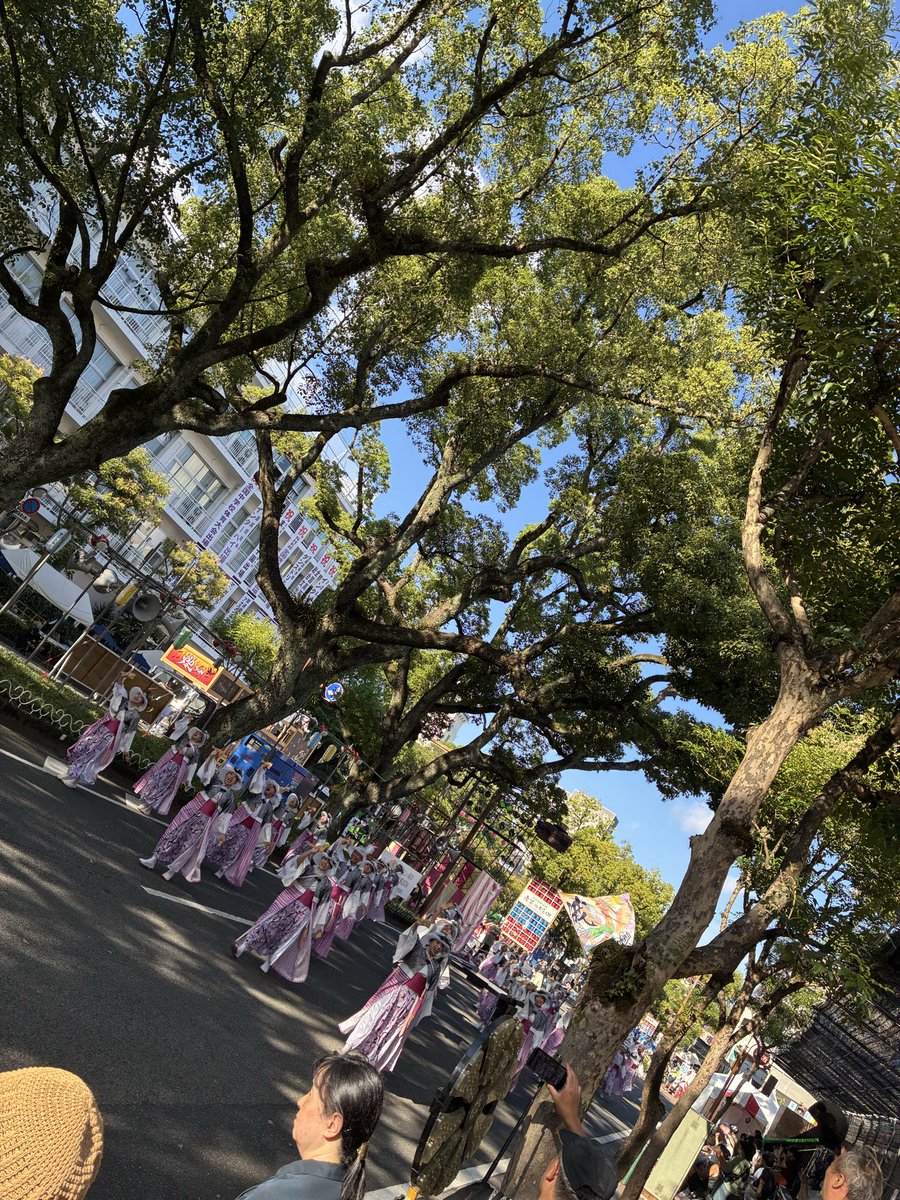sakeoni0803's tweet photo. よさこい祭り見てきた！！
みんなマジで息ぴったりで最高だった！！ https://t.co/rxt7ncKdov
