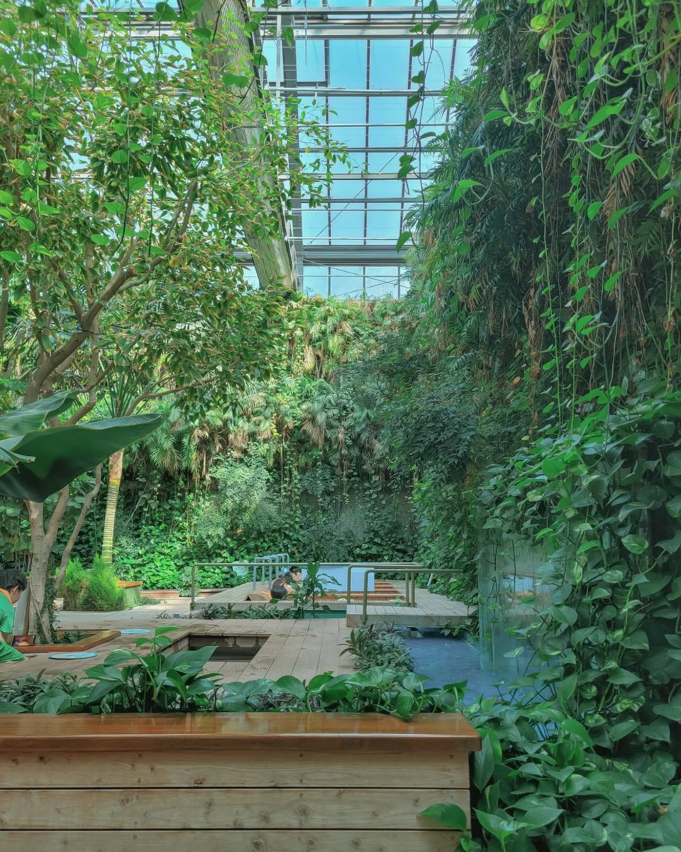Kor_Visitkorea's tweet photo. 양평에 숲멍하며 찜질할 수 있는 곳도 있음🌲 https://t.co/S5MxSZv0Vr