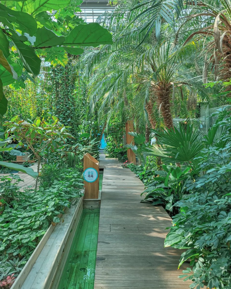 Kor_Visitkorea's tweet photo. 양평에 숲멍하며 찜질할 수 있는 곳도 있음🌲 https://t.co/S5MxSZv0Vr