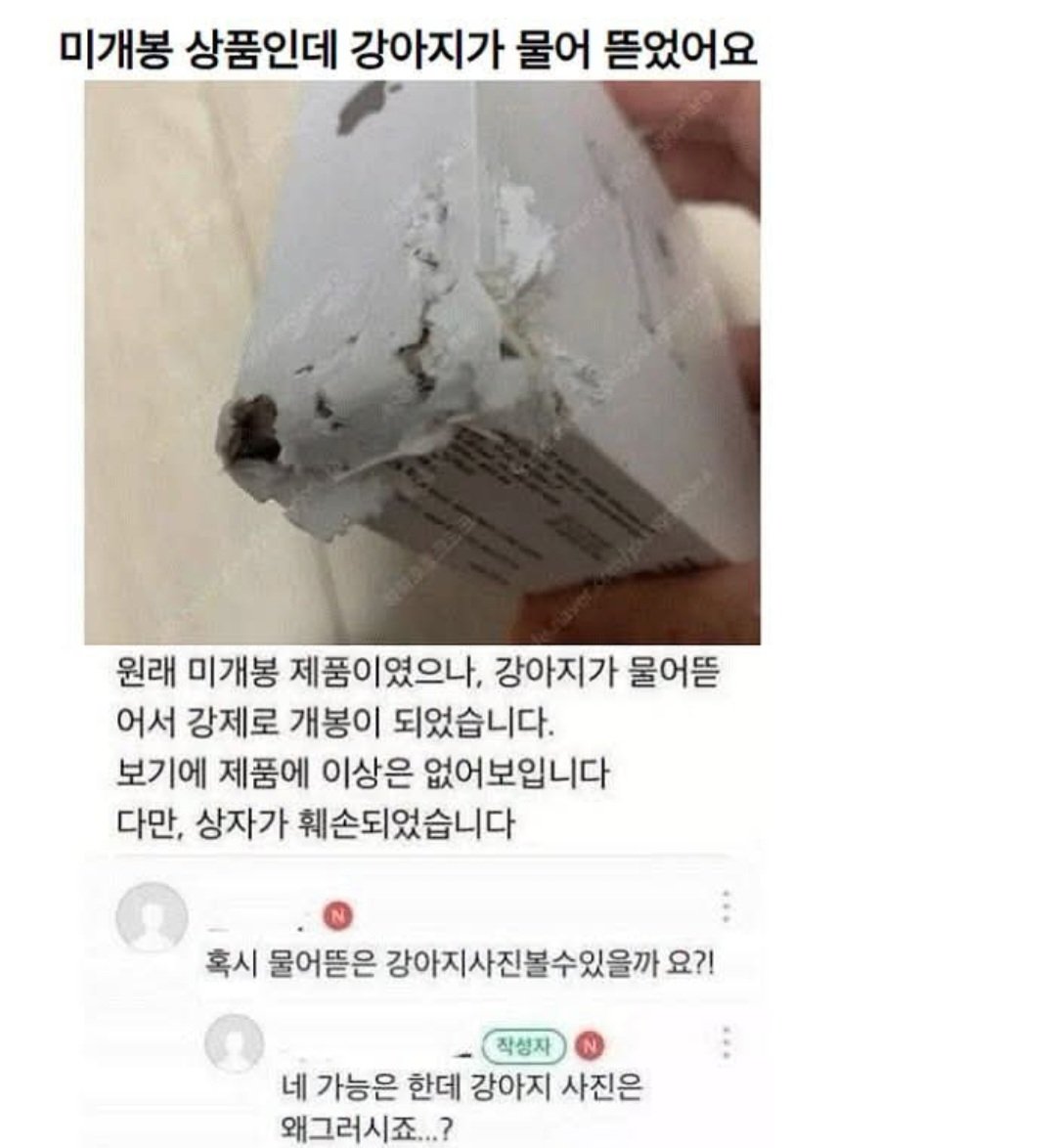 AltoBot's tweet photo. ??? : 물어뜯은 강아지 사진 확인 가능할까요? https://t.co/urzuMPzzdA