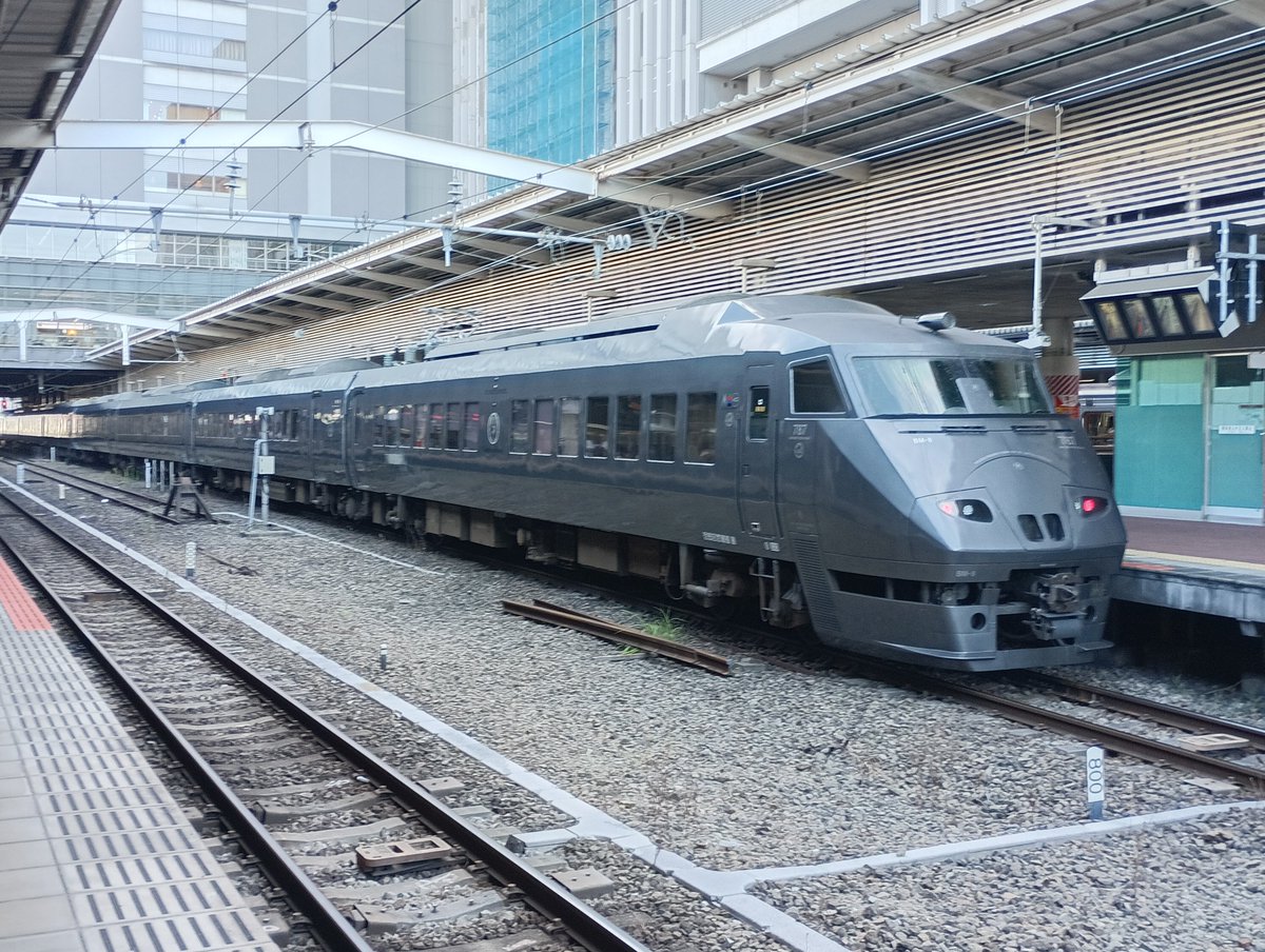 SHIDAIMOKU81's tweet photo. 早速の出迎えで大変気分が好い https://t.co/g46BTZ3x1y