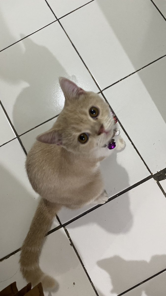 rahagiii's tweet photo. Dah 9 bulan ya ini anak https://t.co/8VySbYPUYM