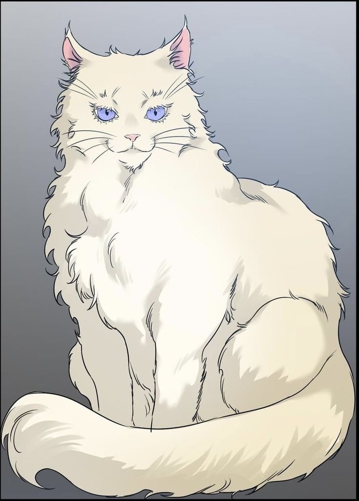 bookmarkbunny's tweet photo. eve as a  ㅤㅤㅤㅤㅤㅤㅤㅤㅤㅤeve as an 
cat  ㅤㅤㅤㅤㅤㅤㅤㅤㅤ             esper https://t.co/5cWkBx6ROa