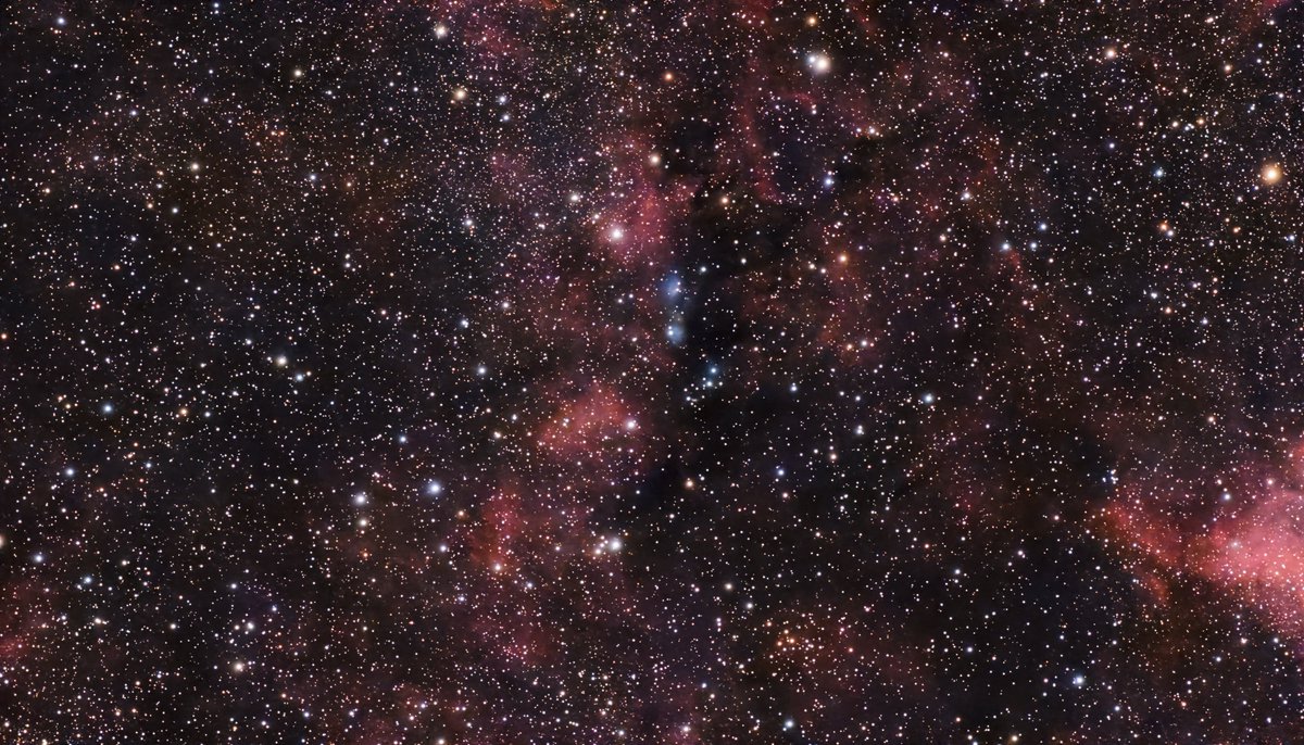 AqweSun's tweet photo. こちらもDWARFで撮影したNGC6914をAffinityで画像処理したものです。
2枚目は先日の龍之介さんの素材を処理した時の物をクローズアップしたものです。DWARFもすごく綺麗に撮れてますがやっぱ全然違う😱
#NGC6914 https://t.co/ahlj5GaWCY