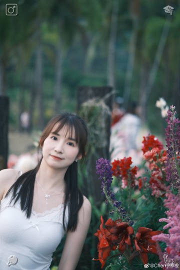 berrycelllove's tweet photo. Wandering leisurely through the forest brings a private, tranquil charm that only nature can offer. Far from the bustling, clamorous throngs, you walk shoulder to shoulder with towering trees, sensing a soft exchange between people and the wild. 🐿 Table Wiping The cloths are pu https://t.co/n0a3P0gH57