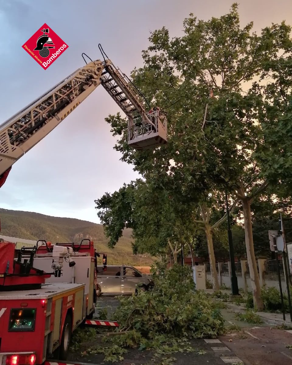 BomberosDipuALC's tweet photo. Mucho trabajo #cpba ayer por efecto del temporal, arboles caídos, postes de luz, cableado eléctrico y un largo etcétera de intervenciones para recuperar el día a día. Hasta 62 intervenciones, sobre todo en Alcoy con 30 actuaciones, solo lamentar daños materiales
#siempreatulado https://t.co/KEFIu7kxfr