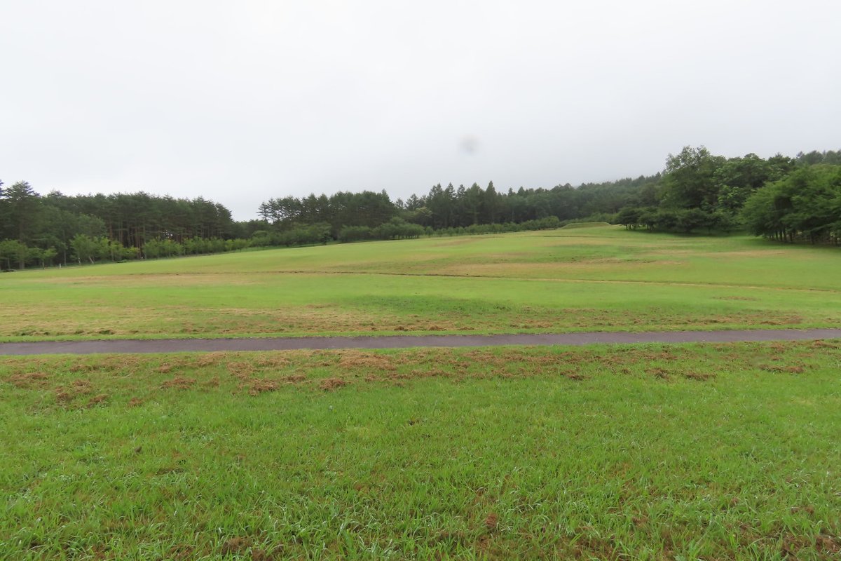 Makinobayashi's tweet photo. 山の日なんですが麓まで行ったら雨
岩手県民の森を散策してきました
祝日で家族連れで賑わっていました
松川玄武岩が先日の地震(?)でくずれています
近づかない方が良いと思います
#岩手県民の森 #松川玄武岩 https://t.co/xqx8hWFe2L