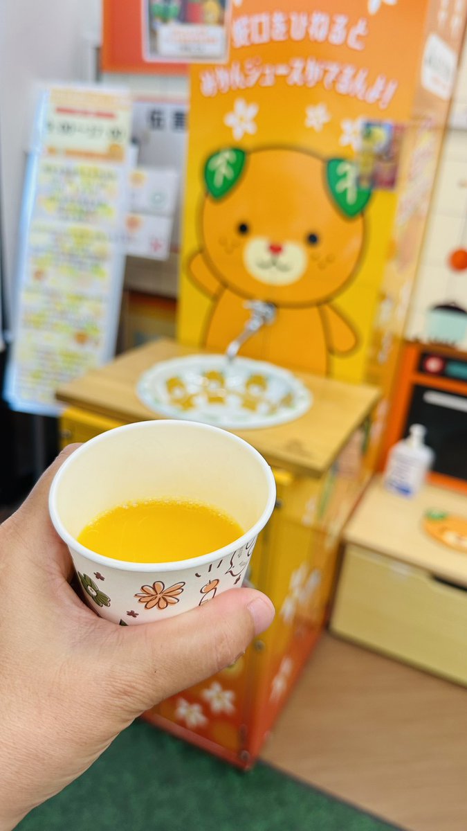 marysnomog's tweet photo. 柑橘堪能🍊 https://t.co/xIwZY0NZNc
