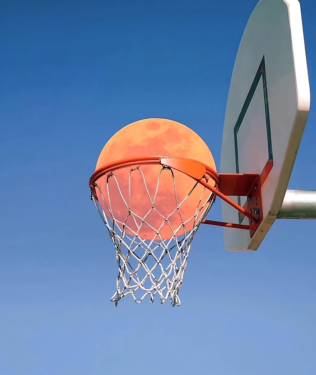 buzzwallss's tweet photo. The perfect image https://t.co/jlcjyf7pMy