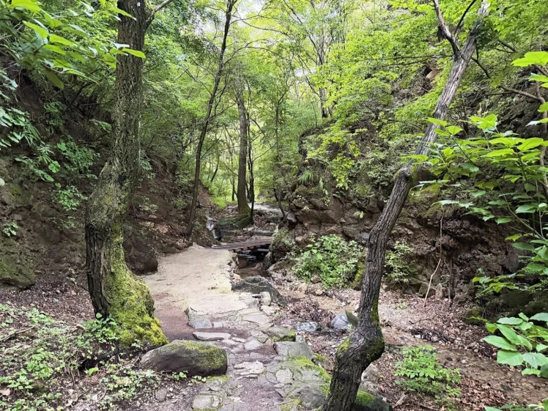 BeijingYanqing's tweet photo. Yudu Mountain Scenic Area, just 10 kilometers from downtown #Yanqing, offers a cool summer escape with forests and streams. Visitors can camp and relax in nature or seek adventure by descending a waterfall with professional guides and safety gear. #ExploreYaning https://t.co/rW8OF91CVd