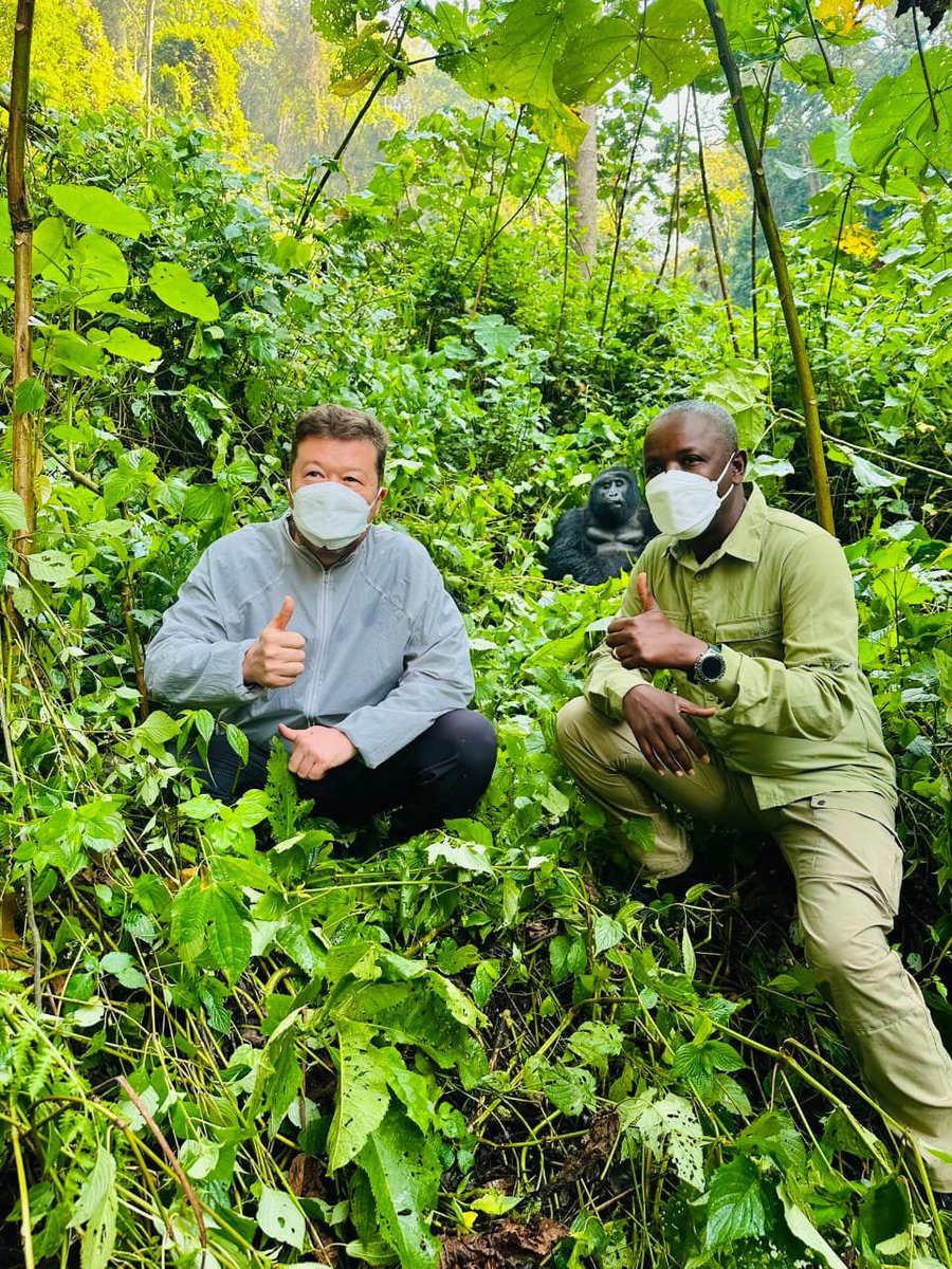Empikahoona's tweet photo. Rushaga, located in the southern sector of Bwindi Impenetrable N/Park, had the honor of hosting Uganda’s D/Speaker of Parliament, the Rt. Hon. @Thomas_Tayebwa, alongside the Speaker of the Senate of the Czech Republic, the Right Honourable Tomio Okamura.

https://t.co/iLonacGH4N https://t.co/g0E4eZ498T