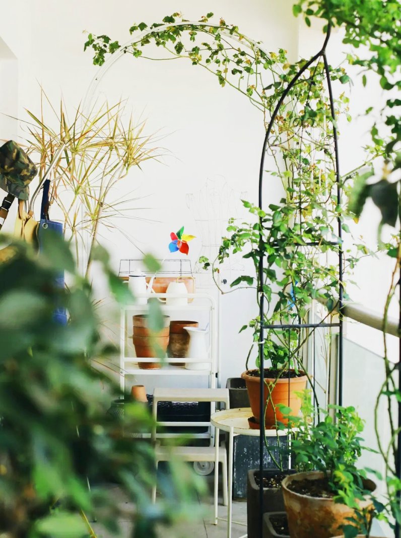 sittir's tweet photo. My tiny balcony grew from empty concrete to a mini veggie patch with tomatoes and herbs this summer – small wins hit different ， https://t.co/yzuZit4oaZ