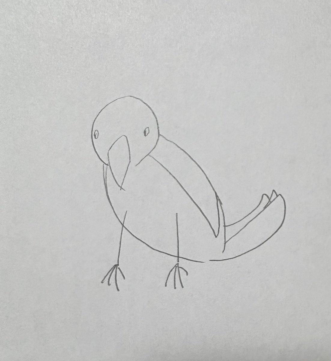 nolamilai's tweet photo. 記憶を頼りに描いた白文鳥（初描き）と、動き回るシルバー文鳥を見ながら描きました！ https://t.co/ZhHqj0WYpx