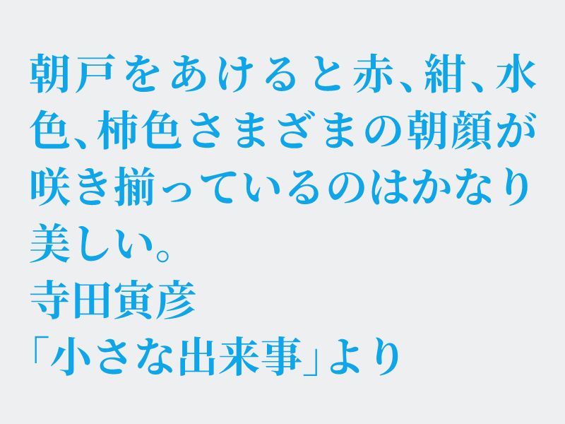 img_shosha's tweet photo. No.1630 寺田寅彦「小さな出来事」より #空想書写
毎年、朝顔を育てていましたが、夏の気温が高くなるにつれ、やたらと虫が発生したり病気が出たりと育てるのに少し手間がかかるようになりストップしてしまいました。時間に余裕が持てるようになったらまた育てたいです。それでは、どうぞ。 https://t.co/o9eMvN5HRO