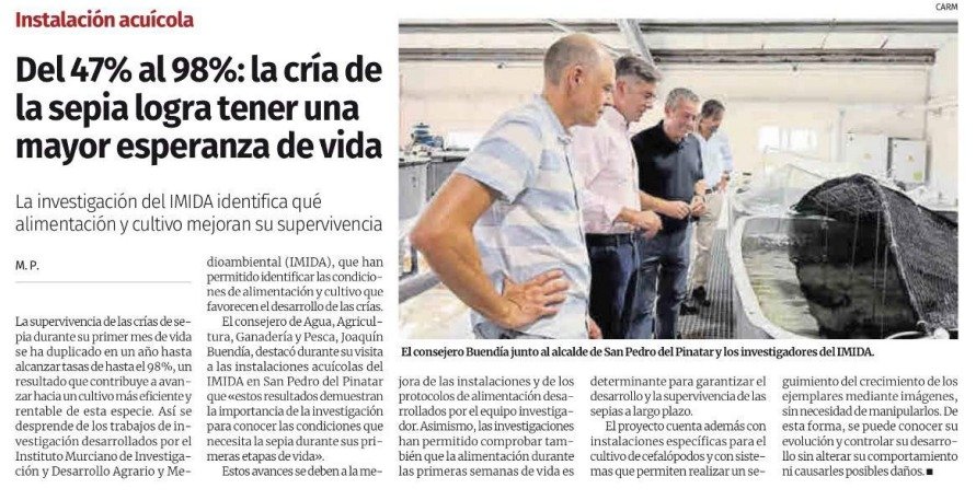RM_Agua's tweet photo. Hoy el diario @diariolaopinion
se hace eco de la investigación que impulsa @regiondemurcia a través del @imida_murcia
sobre la reproduccion de la sepia en acuicultura https://t.co/lnqZ8v0SOF https://t.co/WfZvJUKizu