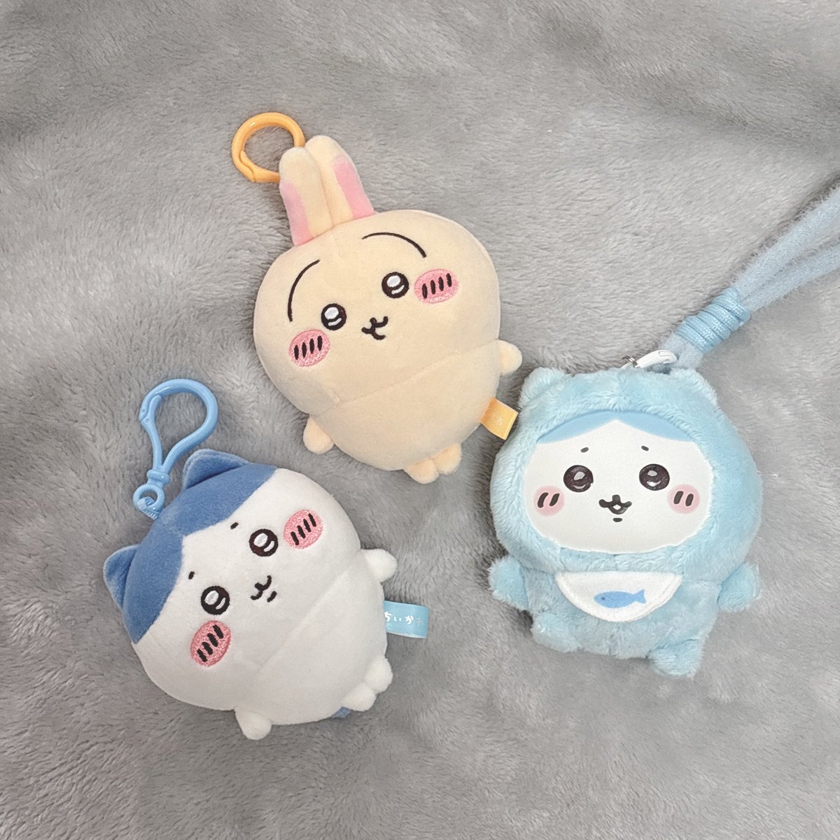 33_____324's tweet photo. ちいさくてかわいい♪ https://t.co/x2yqA4t8G5