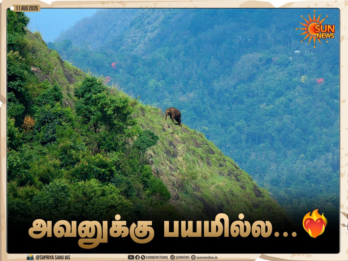 sunnewstamil's tweet photo. #Photos | ஐஏஎஸ் அதிகாரி சுப்ரியா சாஹு பகிர்ந்த க்ளிக்ஸ்!

📍நீலகிரி

#SunNews | #Elephant | #Nilgiris https://t.co/PaqnyX59Xe