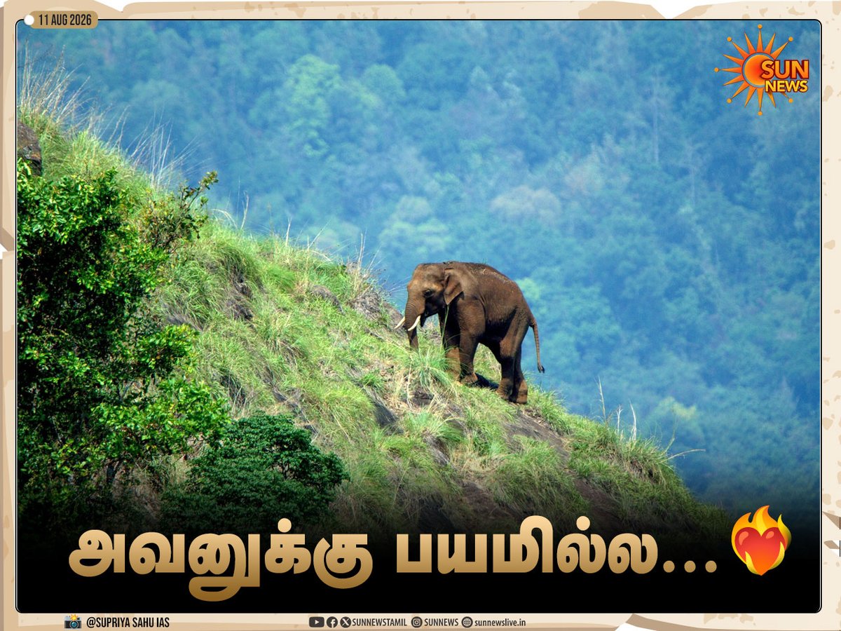 sunnewstamil's tweet photo. #Photos | ஐஏஎஸ் அதிகாரி சுப்ரியா சாஹு பகிர்ந்த க்ளிக்ஸ்!

📍நீலகிரி

#SunNews | #Elephant | #Nilgiris https://t.co/PaqnyX59Xe