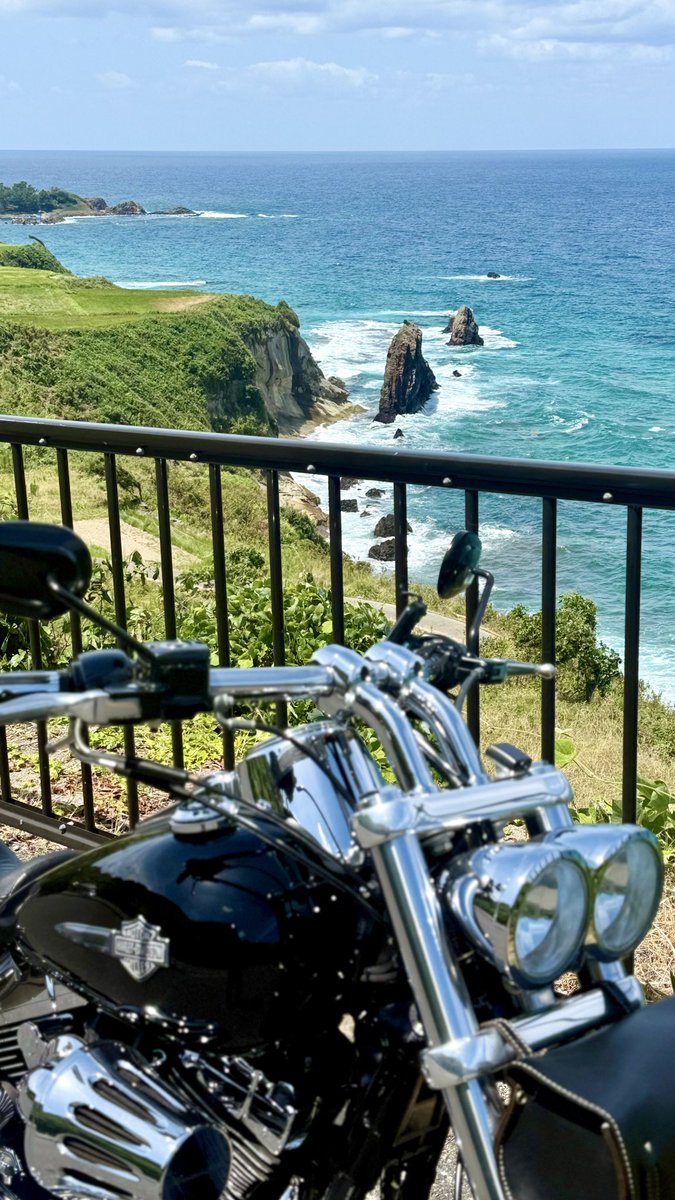 FXDF_FATBOB_BOB's tweet photo. 朝から快晴！☀️
たんとうひまわりまつりへ🌻🏍️💨
50万本のひまわりまみれに
なれますよ〜🌻🌻🌻

その後は丹後半島をぐるっと回って無事帰宅です🌊😊 https://t.co/HAZXjXfSwx
